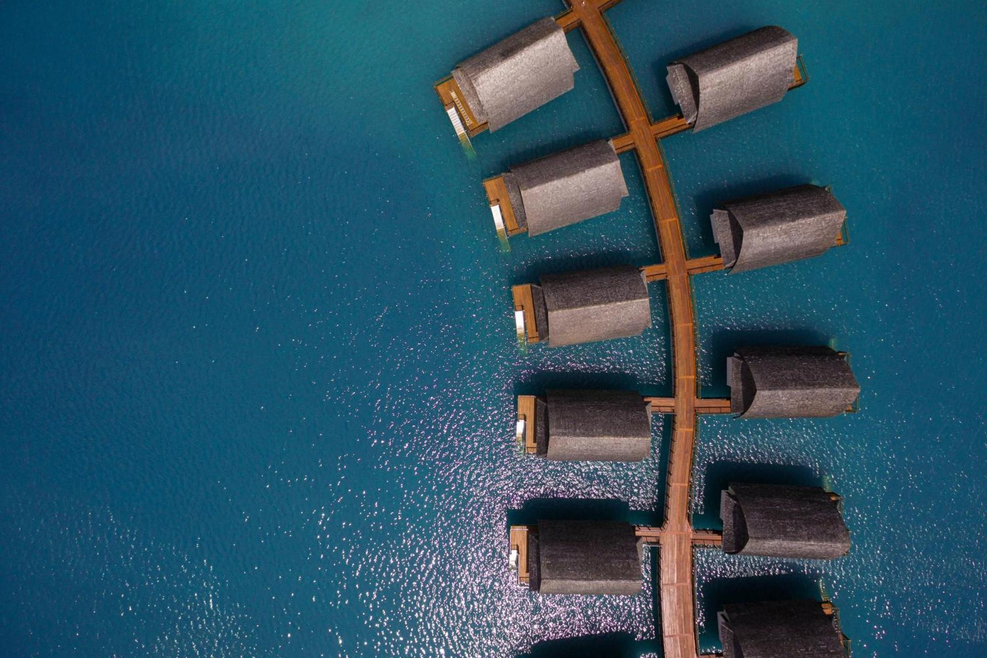Fiji Marriott Resort Momi Bay Eksteriør bilde A tree of 1000000000000000000000000000000000000000000000000000000000000000000000000000000000000000000000000000000000000000000000000000000000000000000000000000000000000000000000000000000000000000000000000000
